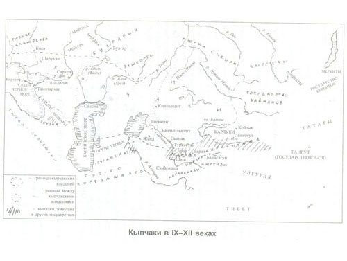 Кыпчаки в IX-XII вв.